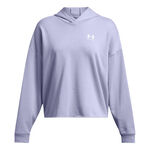 Oblečení Under Armour Trival Terry OS Hoody