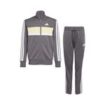Oblečení adidas 3Stripes Essentials Tiberio Tee