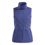 Oblečení Odlo Zeroweight Insulator Vest